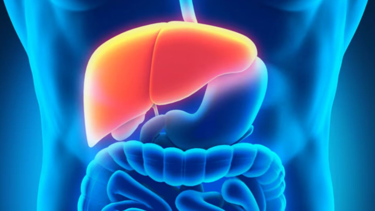 লিভার সমস্যার সংকেত দেয় যে ৭ উপসর্গ