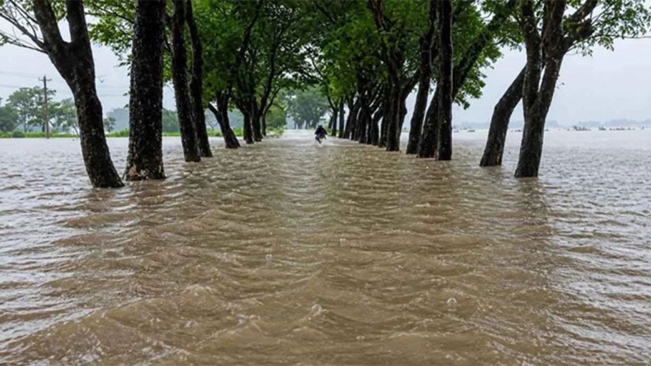 দেশের ১১ জেলায় বন্যার আশঙ্কা