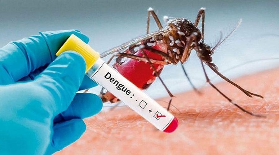 ডেঙ্গু আক্রান্ত হয়ে আরও চার মৃত্যু, হাসপাতালে ভর্তি ৮ শতাধিক